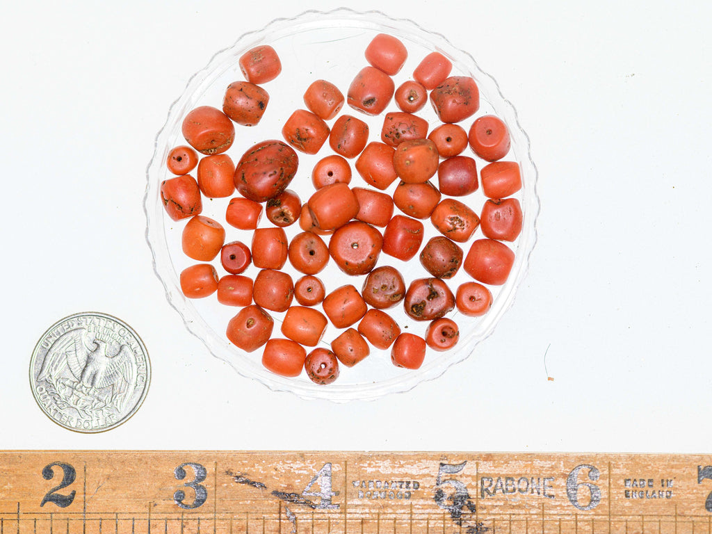 Genuine Mediterranean Precious Coral Beads, 10g or 5g lots