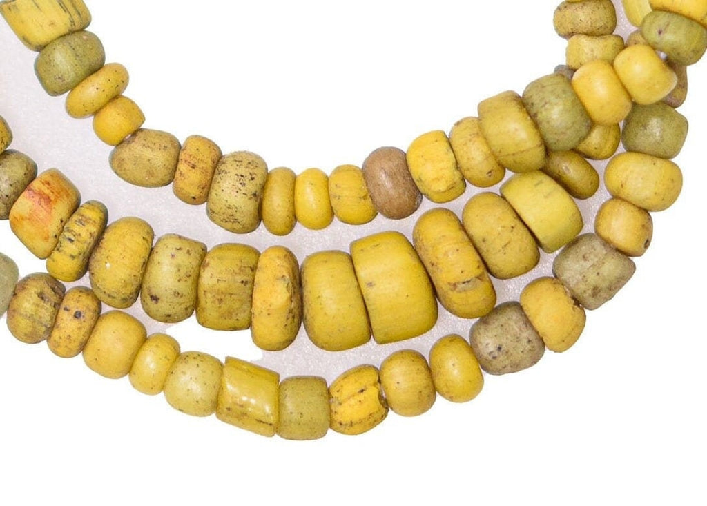 Large Excavated Indo-Pacific Trade Wind Beads in Yellow