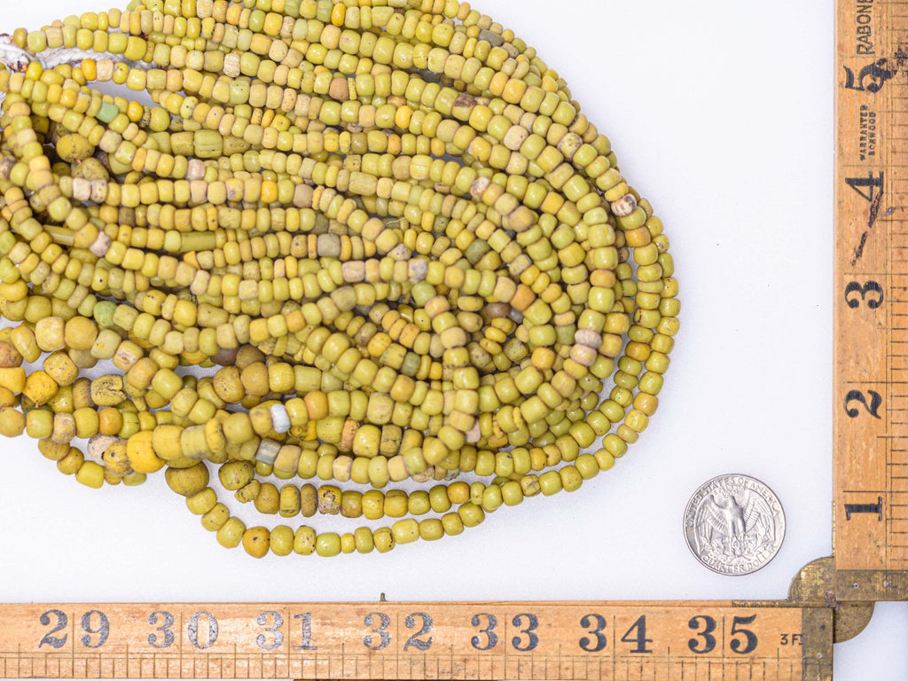 Large Excavated Indo-Pacific Trade Wind Beads in Yellow